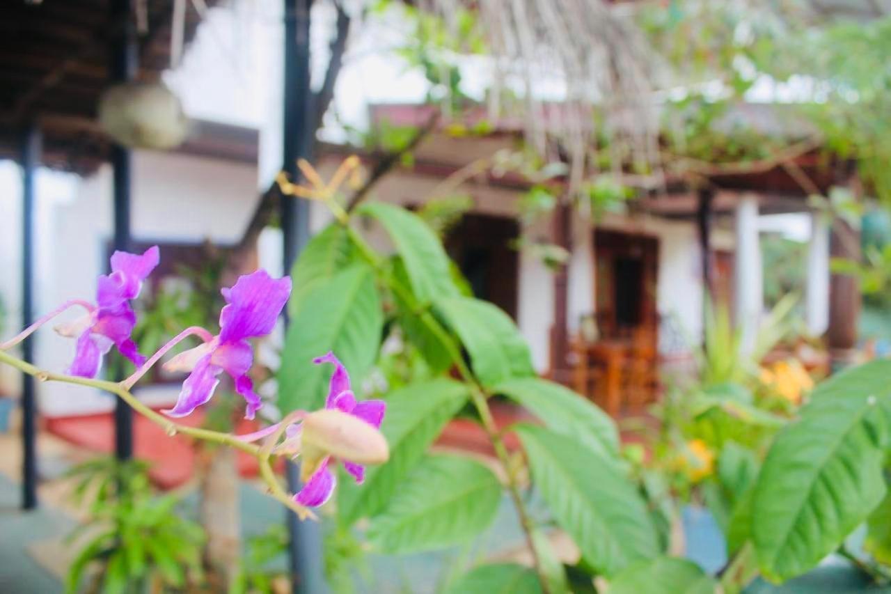Sunrise Guest House & Restaurant Тангалла Экстерьер фото